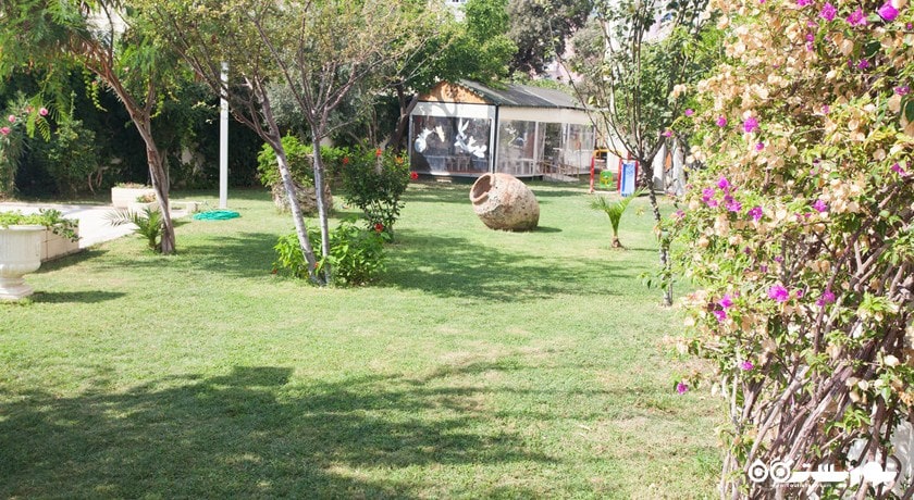 فضای سبز هتل گلدن دی وینگز